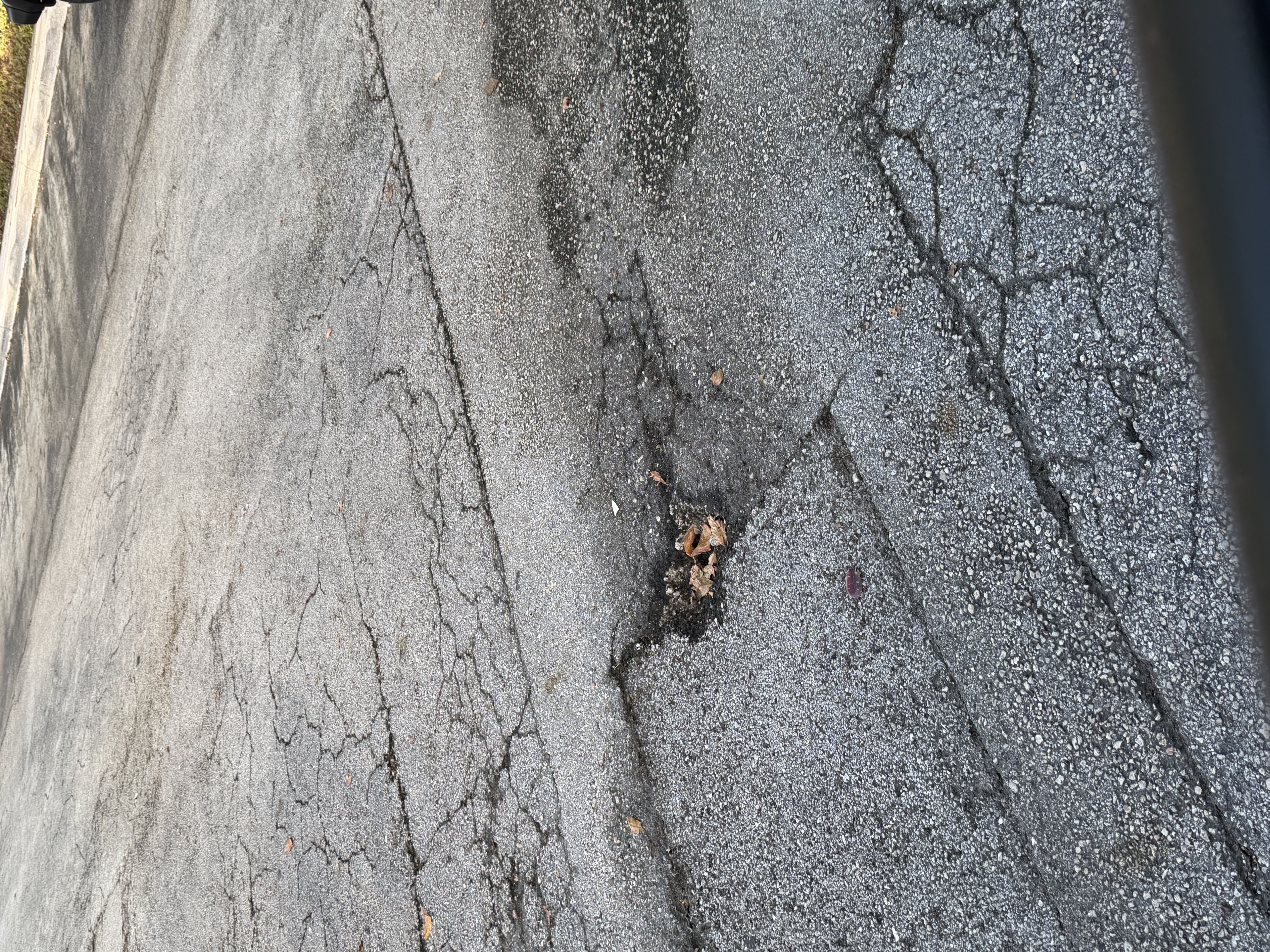 Image 0024
